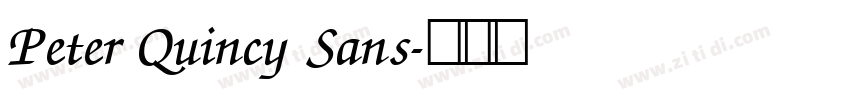 Peter Quincy Sans字体转换